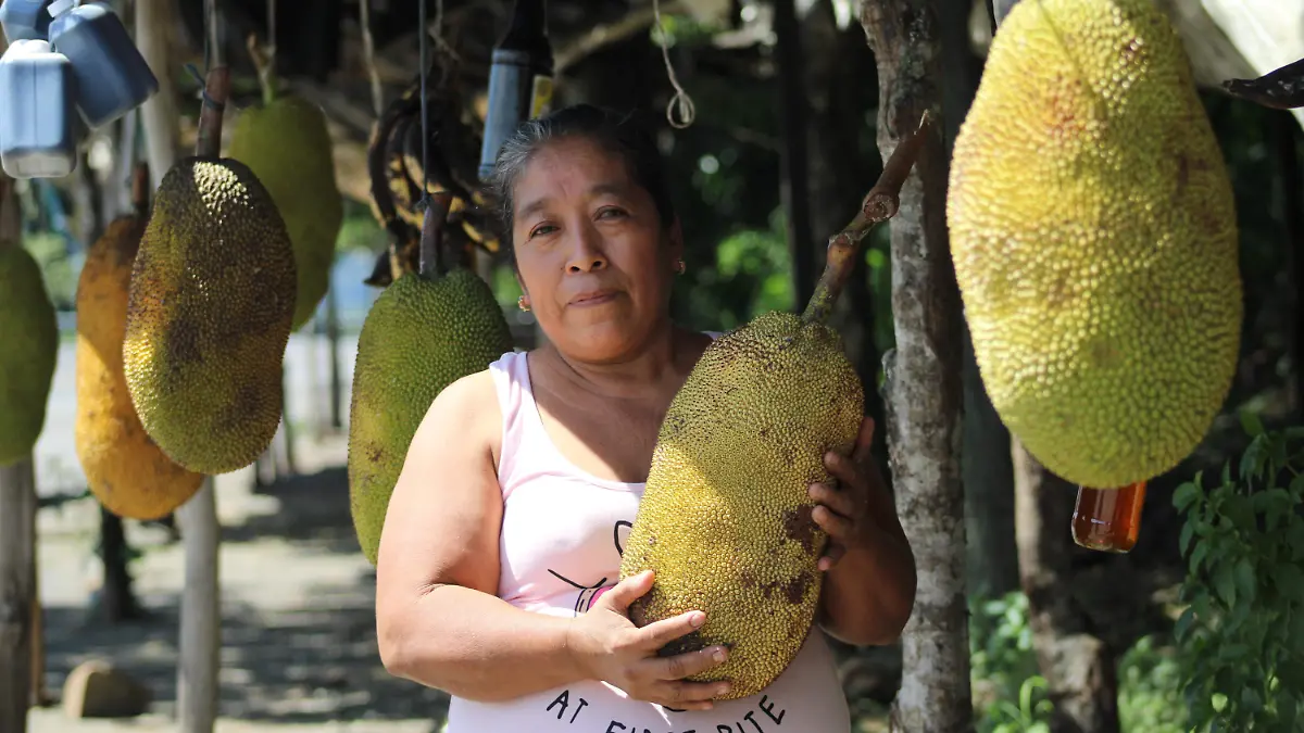 Jaca la fruta de los siete sabores3